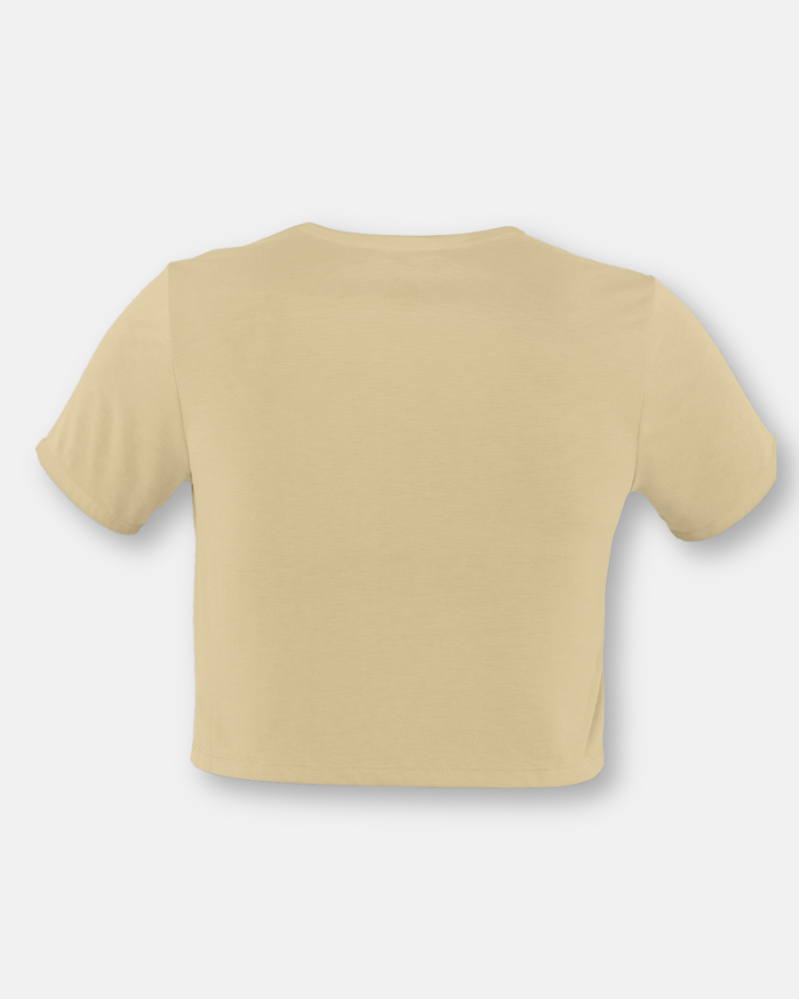 Beige Crop Top